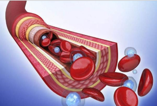 NAD+ 250mcg | Shaanxi BLOOM Tech Co., Ltd NAD+ 250mcg | Shaanxi BLOOM Tech Co., Ltd
