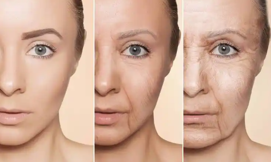 Glutathione Antioxidant Protection | Shaanxi BLOOM Tech Co., Ltd Glutathione Antioxidant Protection | Shaanxi BLOOM Tech Co., Ltd