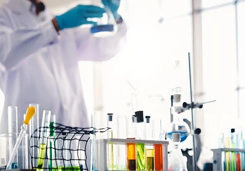 Dimidium bromide-Development | Shaanxi BLOOM Tech Co., Ltd Dimidium bromide-Development | Shaanxi BLOOM Tech Co., Ltd